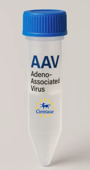 A330049M08Rik AAV Vector (Mouse) (CMV)